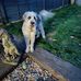 Chris Mansbridge - Facebook