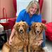 Chris Manser - Facebook