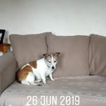 Christine Manship - @christine.mans - Instagram