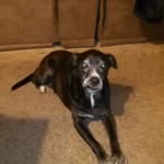 Chris Mantooth - @mantoothc - Instagram