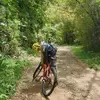 Chris Manus - @chris.manus - TikTok