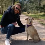Chris McManus - @dr_chris_mcmanus - Instagram