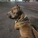 Chris Mapp - Facebook
