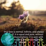 Chris Marcellaneous - @chrismarcellaneous - Instagram