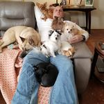 Chris Marcellus - @tippolo1 - Instagram