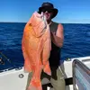 Chris Marchetti - @chrismarchetti8 - TikTok