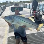 Chris Marconi - @chris.marconi - Instagram