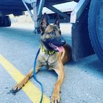 Chris Marek - @chris_jjs6 - Instagram