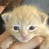 Chrissykaczmarek - @chrissykaczmarek - TikTok