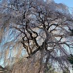 chris marengo - @marengochris - Instagram