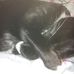 Christine Margetts - Facebook