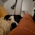 chris markus - @chrismarkus_norcal - Instagram
