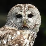 Chris Paul - @chris_from_marple_stockport - Instagram