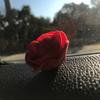 ChrisM - @chris.martini - TikTok