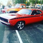 Chris Mascarenhas - @cmascar59 - Instagram