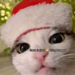 Chrismas countdown - @_chrismas_countdow_ - Instagram
