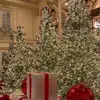 chrismascominggg - @fliercqglux - TikTok