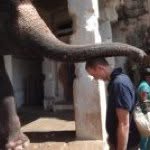 Chris Maskell - @cemaskell - Instagram