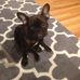 Chris Massaro - Facebook