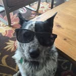 Chris Massaro - @massaroch - Instagram