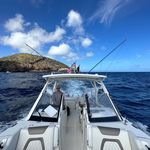 Chris Massie - @chris.massie - Instagram