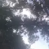 Chris Matson - @chrismatson - TikTok
