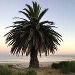 Chris Matson - @matsonconstruction - Instagram