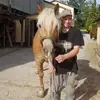 christianmatthias63 - @christianmatthias63 - TikTok