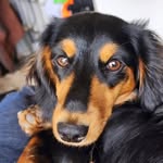 Chris Ñ Susan Matthysen - @chrismatthysen - Instagram