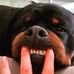 Christopher Mattocks - Facebook