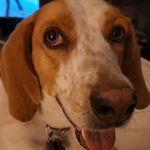 Christy L Mattoon - @mattoonchristy - Instagram