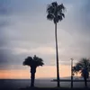 クリスマッツンクラブ - @chrismattsunclub - TikTok