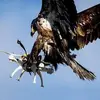 chrismatz86 - @chrismatz86 - TikTok