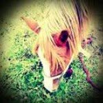 Christin Mauermann - @christinmauermann - Instagram