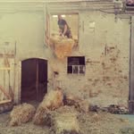 Chris maulwurf - @chris__hans_maulwurf - Instagram