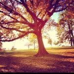 Chris Maune - @cman7127 - Instagram