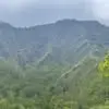 Chris Mauney - @chris.mauney4 - TikTok