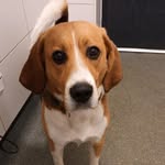 Chris max - @chris_and_max_ - Instagram