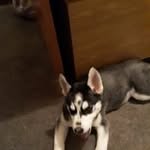 Chris Mayberry - @chris38096 - Instagram
