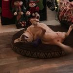 Chris Mayberry - @mayberry6739 - Instagram