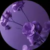 chrismaybin201822 - @user545234043554 - TikTok