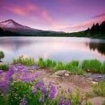 Chris McAbee - @chris.mcabee.9083 - Instagram
