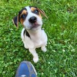 Chris McAleer - @cmmcaleer - Instagram