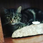 chris_mcaloon004 - @chris_mcaloon004 - Instagram