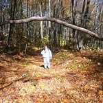 Chris Troup McAndrew - @christroupmcandrew - Instagram