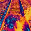 Chris McAvoy - @bensonberg - TikTok