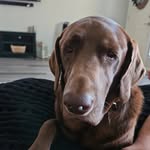 Chris Mccue - @c_mccue75 - Instagram