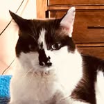Christine Chrys Baker McCumber - @chrysbiz - Instagram