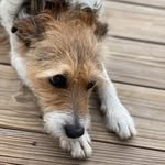 Chris McDevitt - @mcdev14 - Instagram