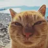 chrismcgavin - @chrismcgavin - TikTok